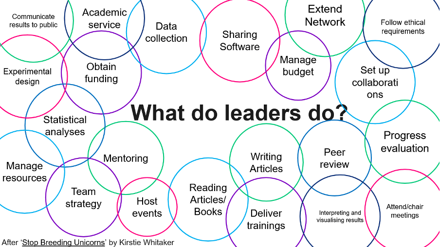 A bubble diagram showing the responsibilities of academic PIs. 22 bubbles detail different key items such as managing budgets, setting up collaborations, reading articles, mentoring, hosting everts, managing resources, communication, and obtaining funding.